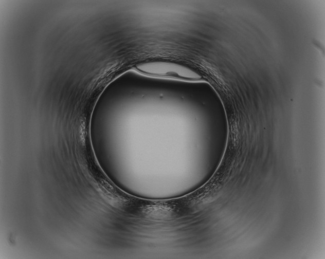 X0000091310644200708311357