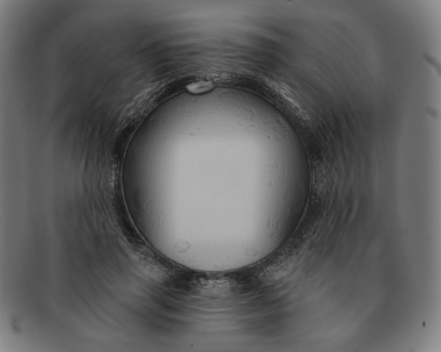 X0000091310645200708311357