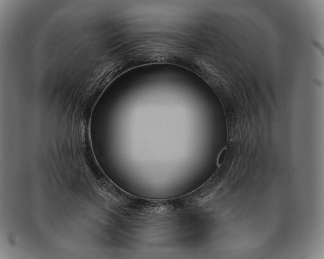 X0000091310646200708311357