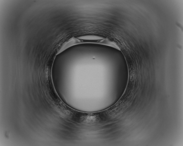 X0000091310647200708311357