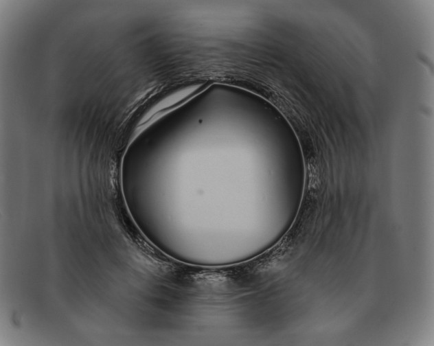 X0000091310648200708311357