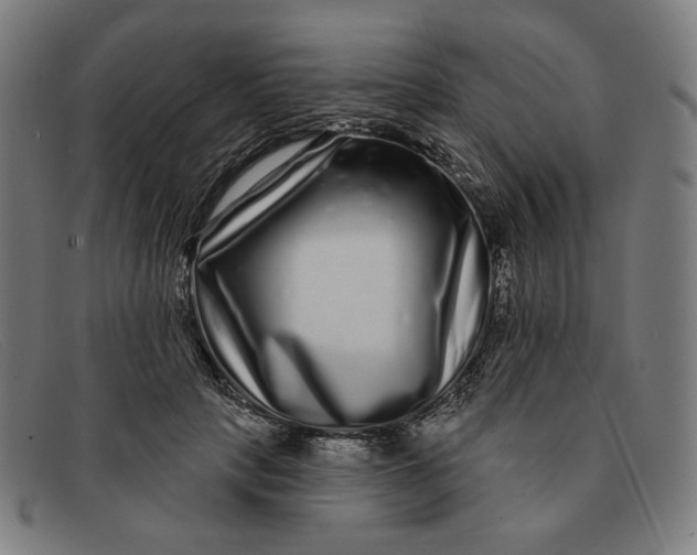 X0000091310649200708311357