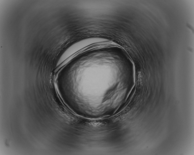 X0000091310650200708311357