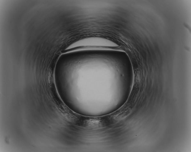 X0000091310651200708311357