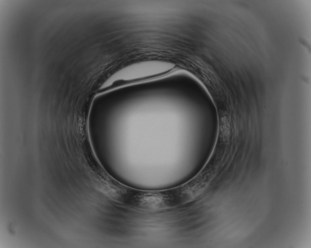 X0000091310653200708311357