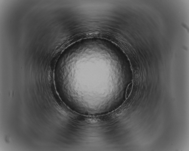 X0000091310654200708311357