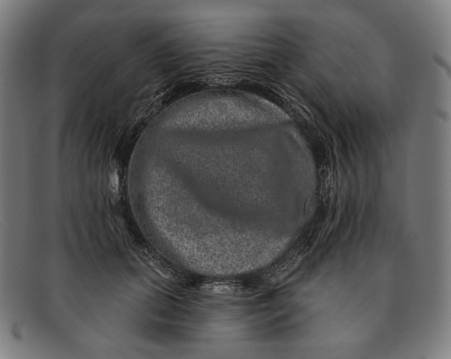 X0000091310655200708311357