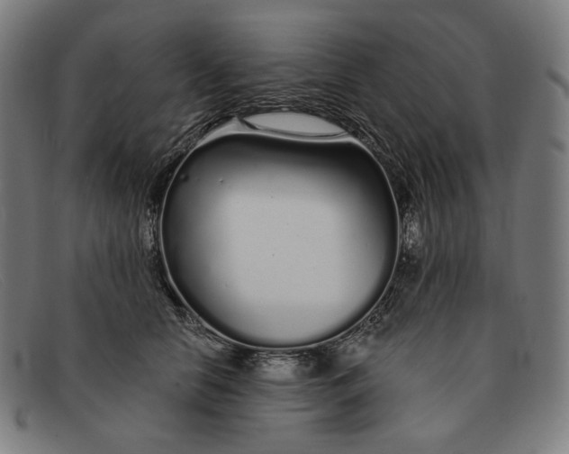 X0000091310658200708311357