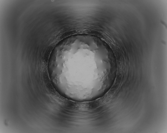 X0000091310659200708311357