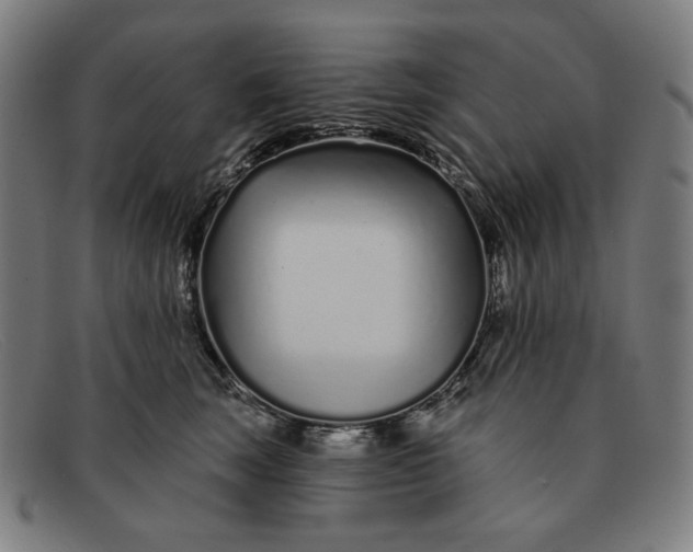 X0000091310663200708311357