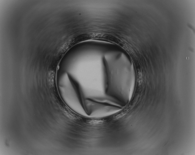 X0000091310664200708311357