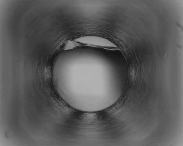 X0000091310665200708311358