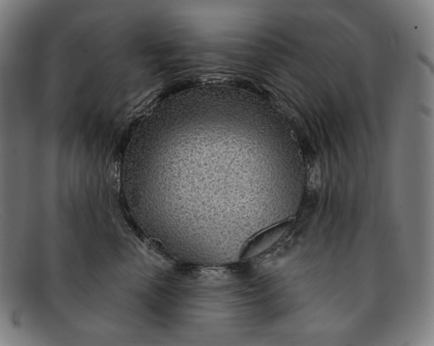 X0000091310666200708311358