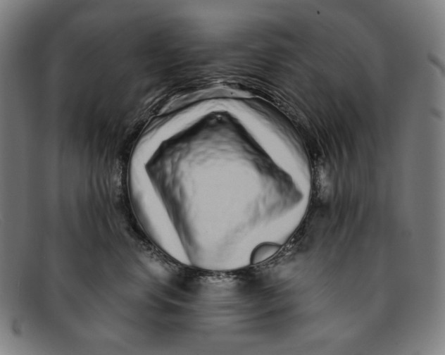 X0000091310668200708311358