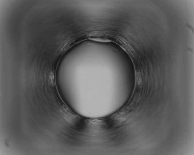 X0000091310669200708311358