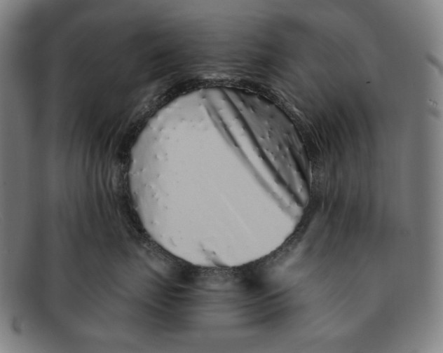 X0000091310671200708311358