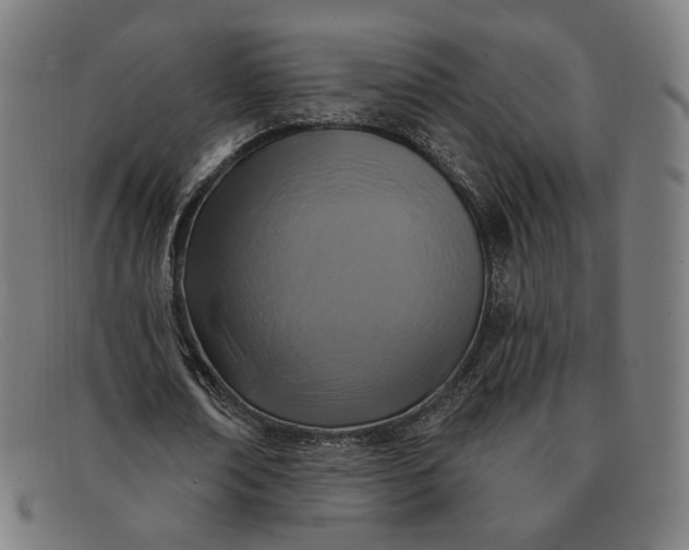 X0000091310674200708311357