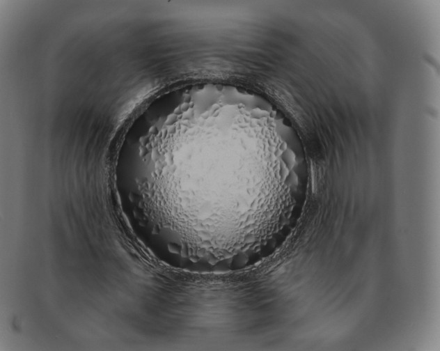 X0000091310675200708311357