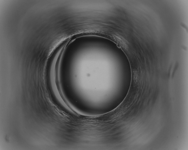 X0000091310676200708311357