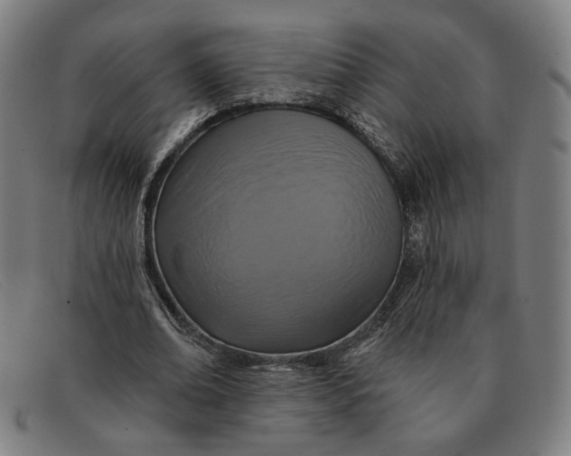 X0000091310678200708311357