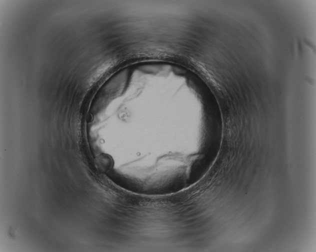 X0000091310679200708311357