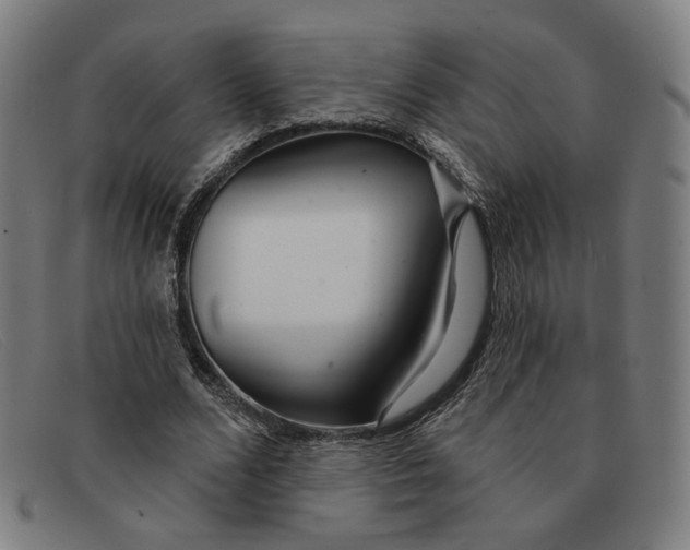 X0000091310680200708311357