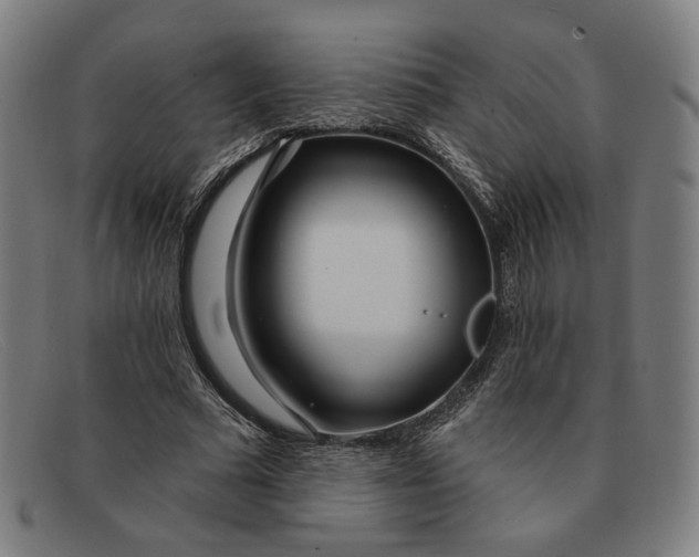 X0000091310681200708311357