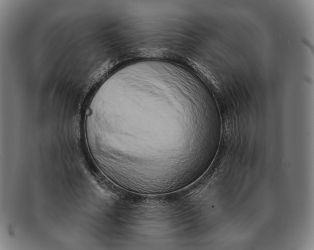 X0000091310682200708311357