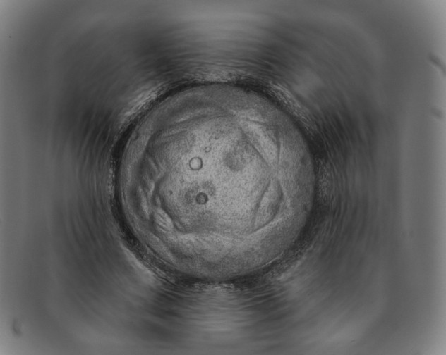 X0000091310683200708311357