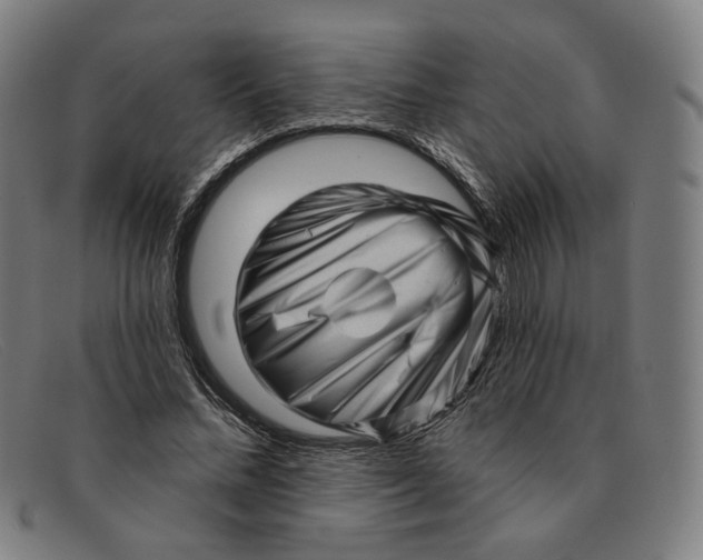 X0000091310684200708311357