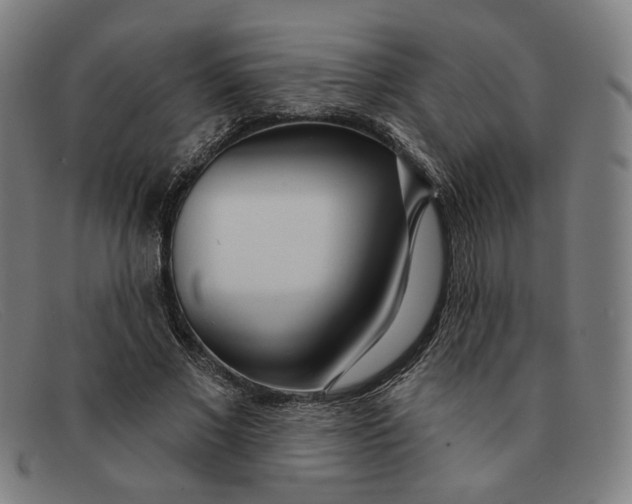 X0000091310685200708311357