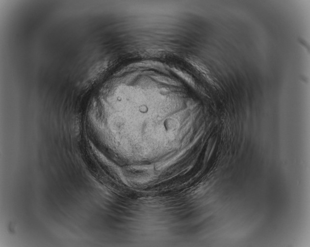 X0000091310687200708311357