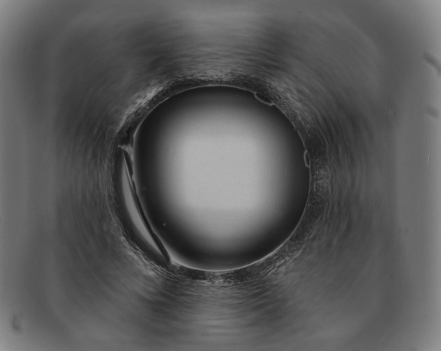 X0000091310688200708311357