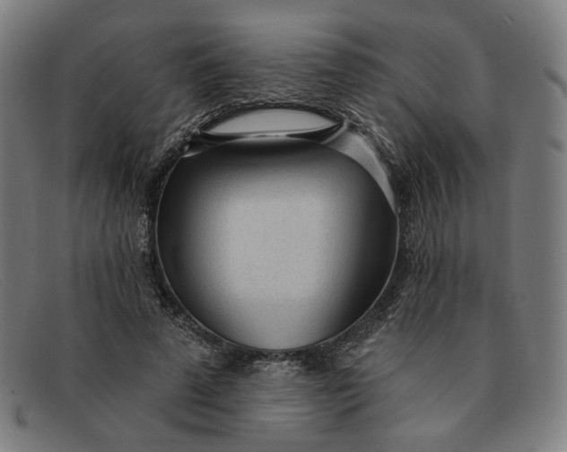 X0000091310689200708311357