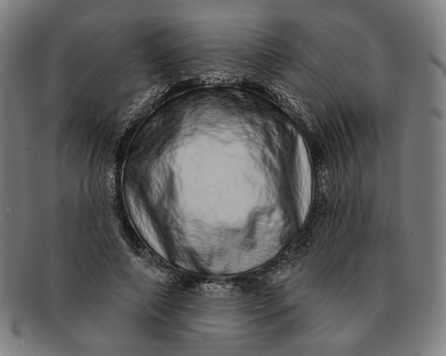 X0000091310690200708311357