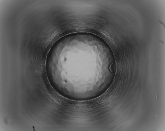 X0000091310691200708311357