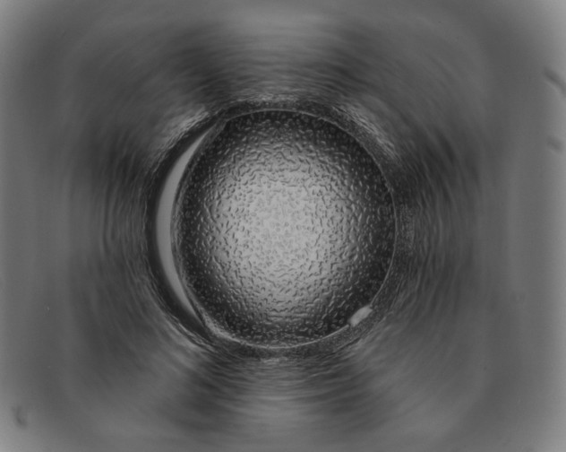 X0000091310692200708311357