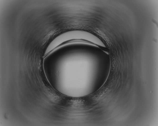 X0000091310693200708311357