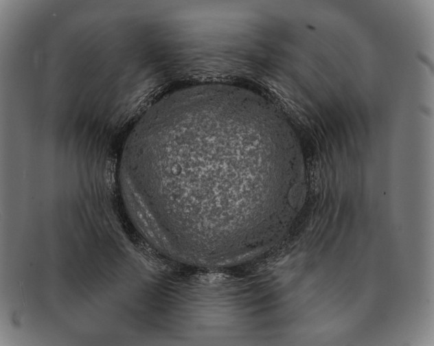 X0000091310695200708311357