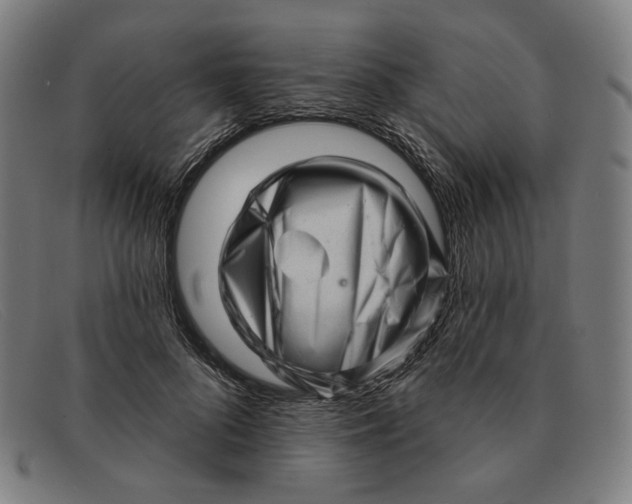 X0000091310696200708311357