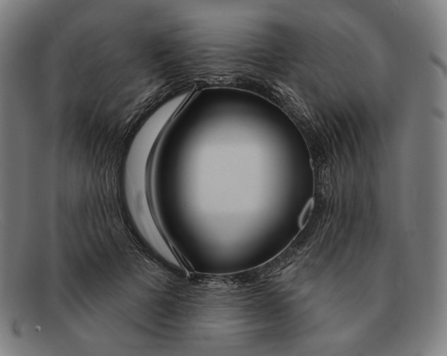 X0000091310697200708311357