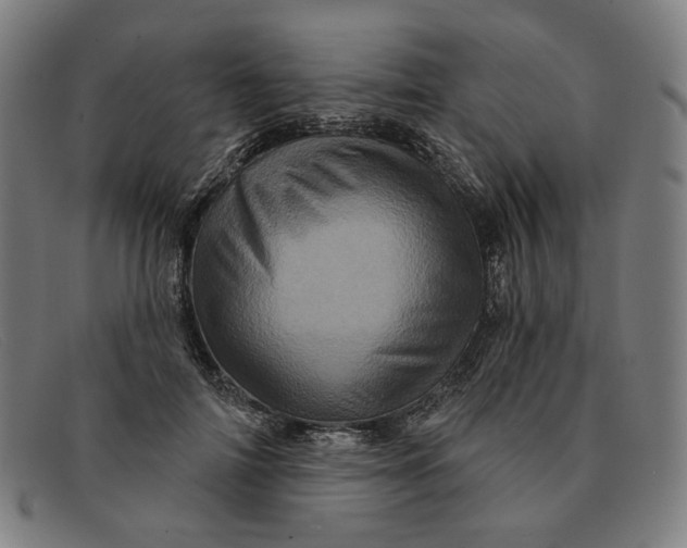 X0000091310698200708311357