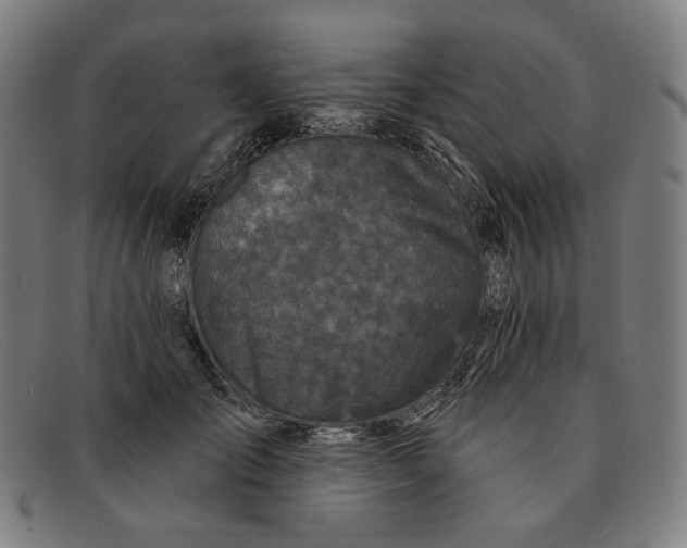 X0000091310701200708311357