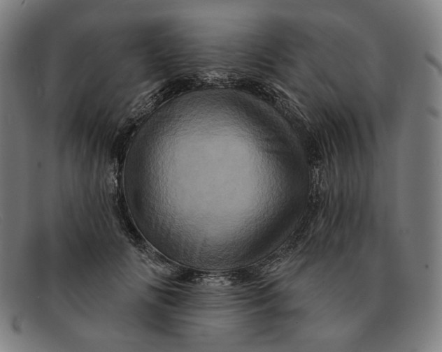 X0000091310702200708311357