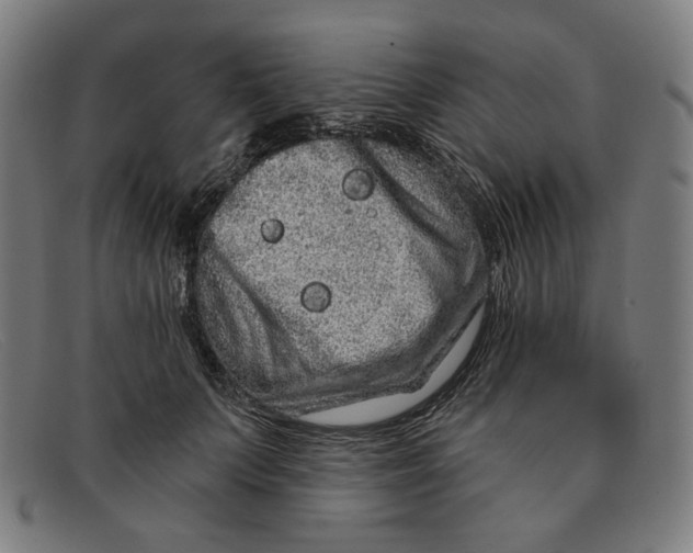 X0000091310703200708311356