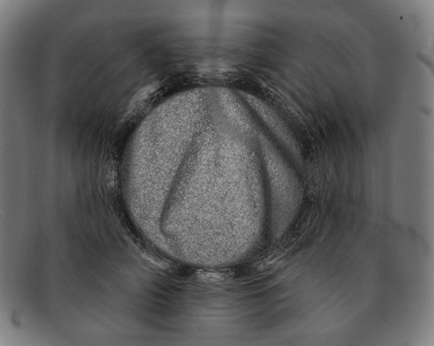 X0000091310706200708311356