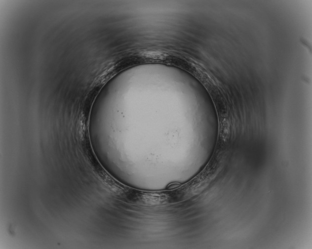 X0000091310707200708311356