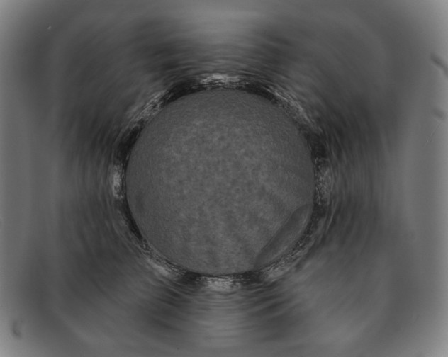 X0000091310709200708311356