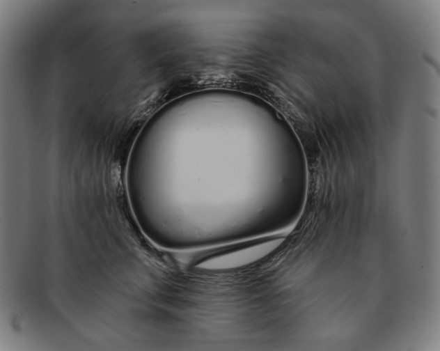 X0000091310711200708311356