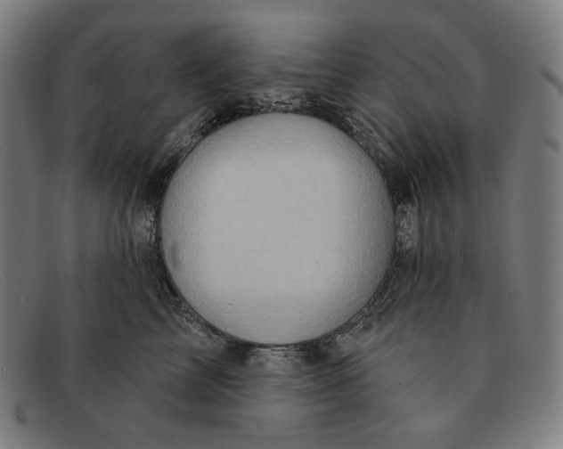 X0000091310713200708311356